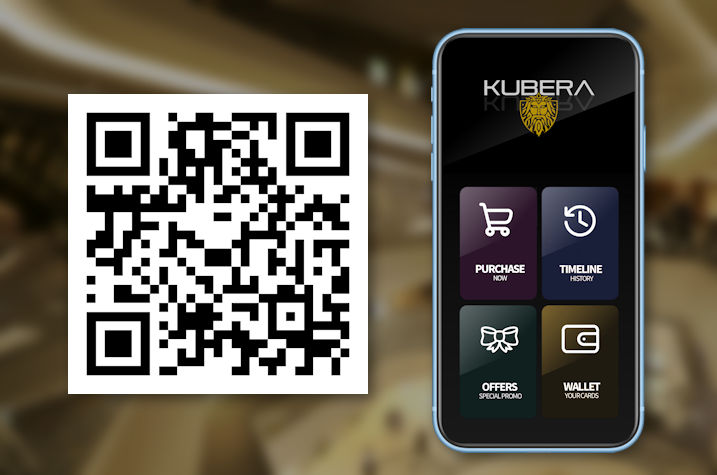 Get Kubera App